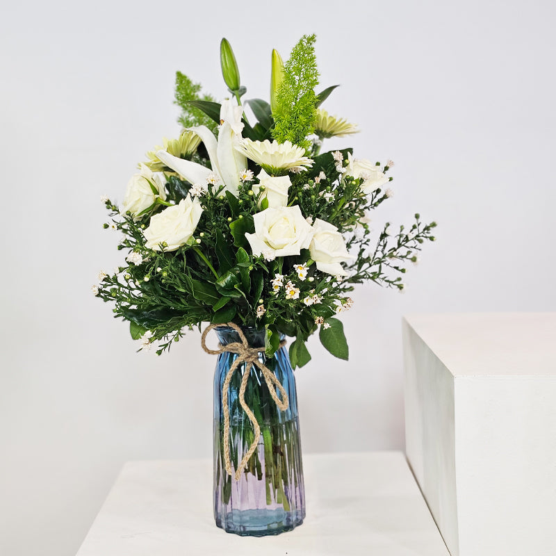 الصفاء النقي