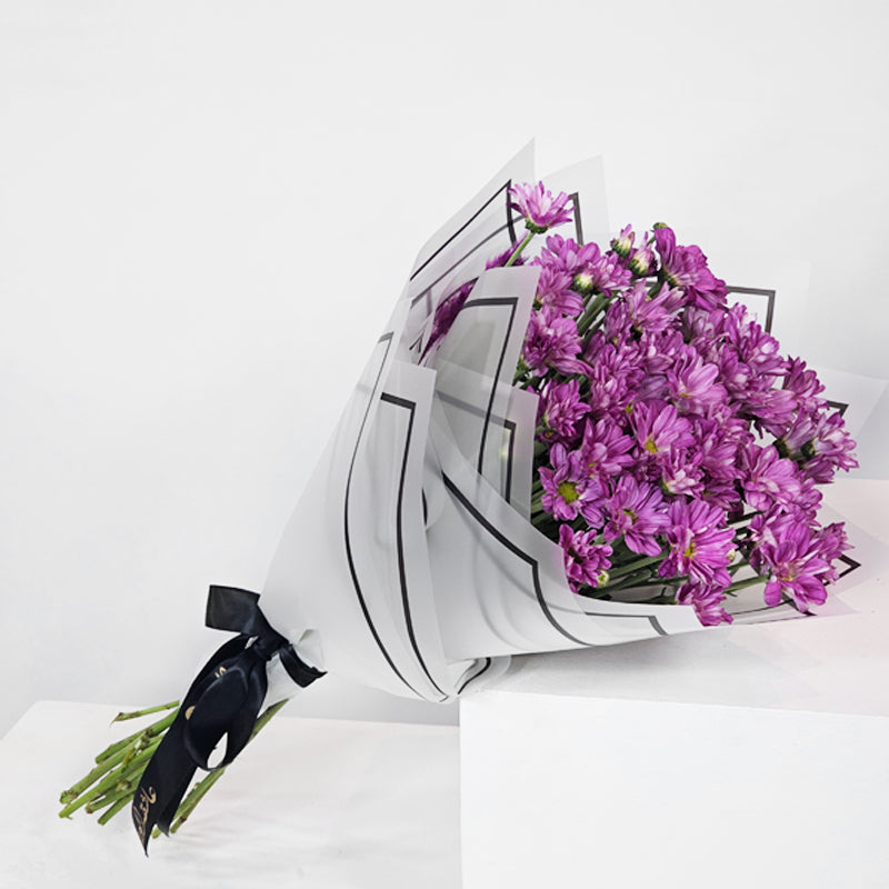 أرجواني مشع