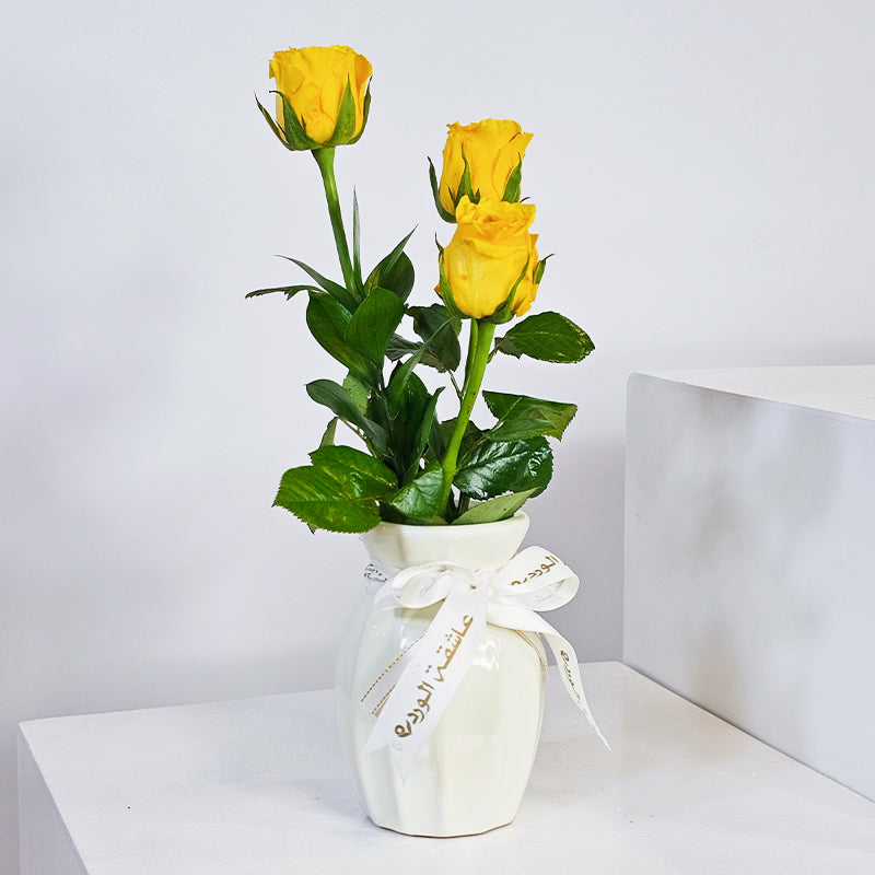 أناقة الثلاثي الذهبي