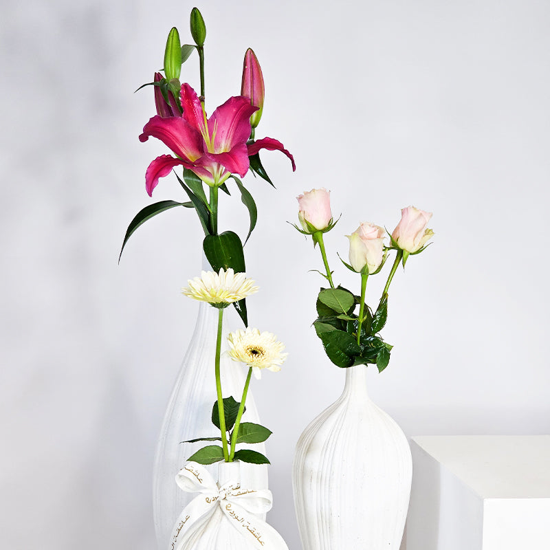 مجموعة هارموني الأنيقة