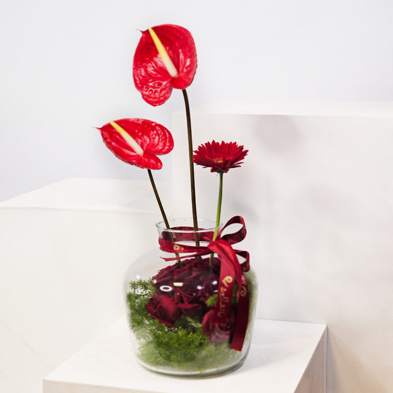 الانسجام العاطفي