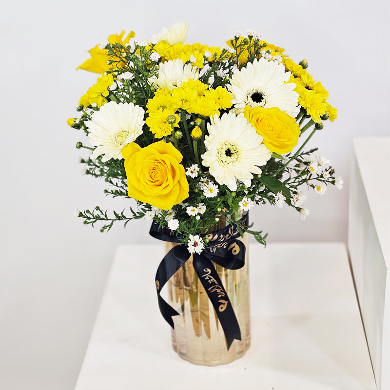 انسجام مشمس