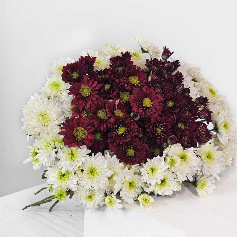 الاندماج المشع