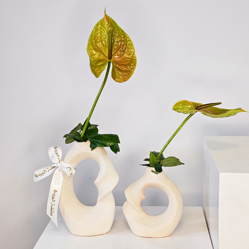 مزهريات أنيقة ترابية