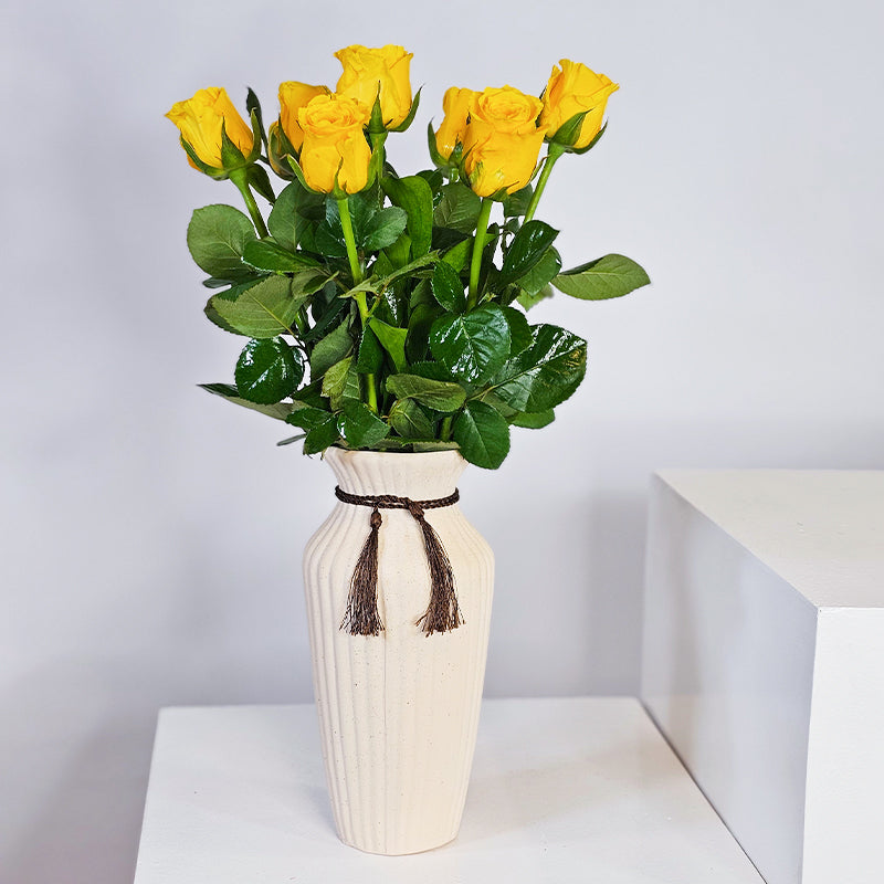 مزهرية صن شاين إليجانس