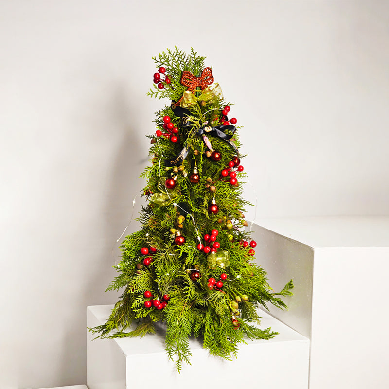 عيد الميلاد