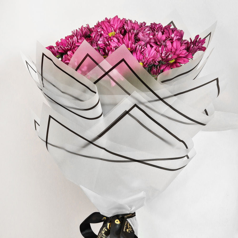 الاقحوان الأرجواني