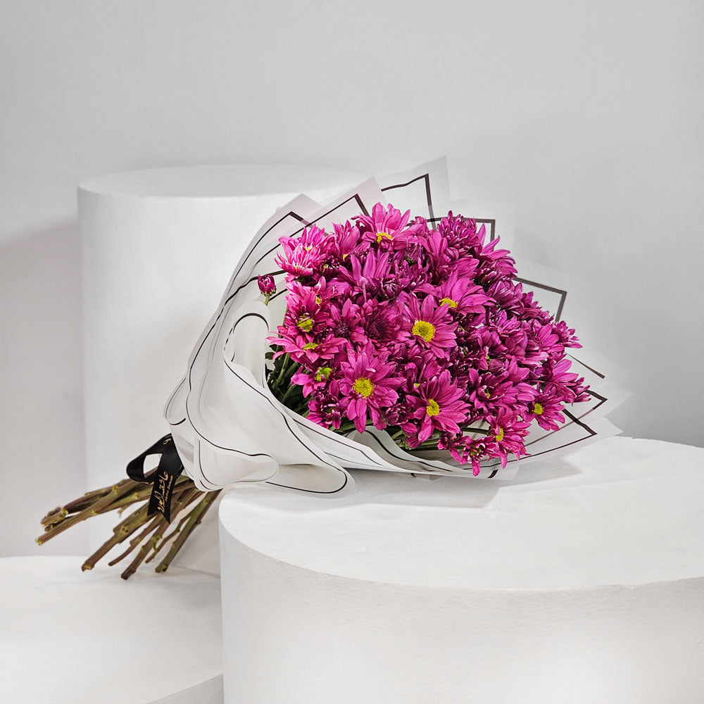 الاقحوان الأرجواني