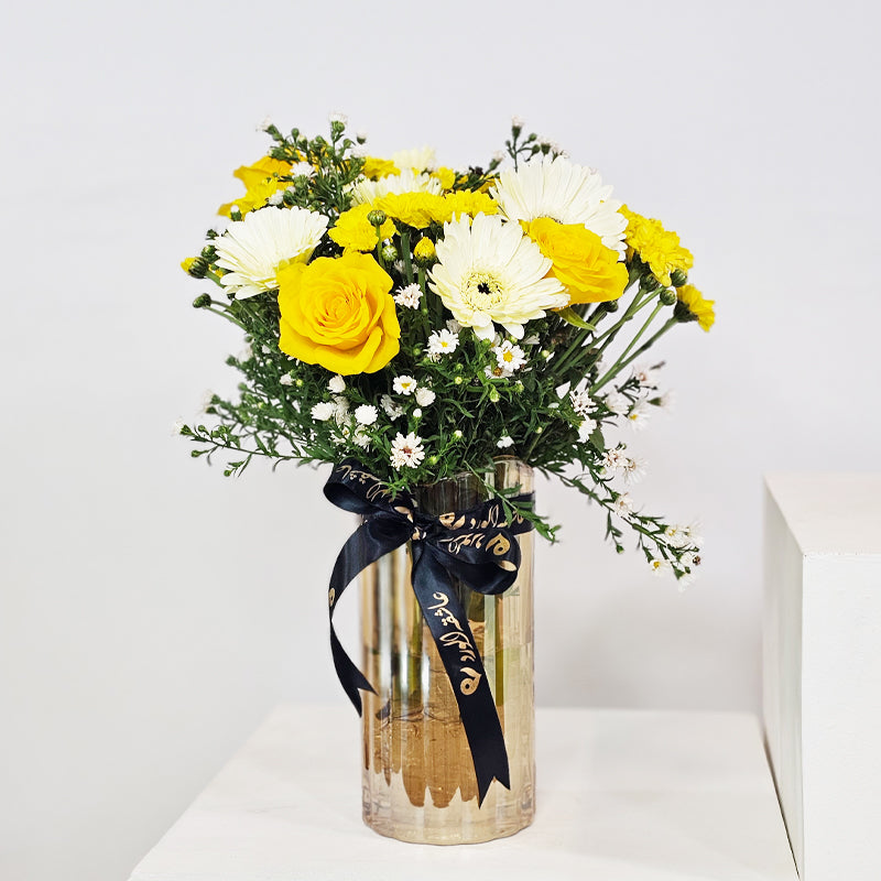 انسجام مشمس