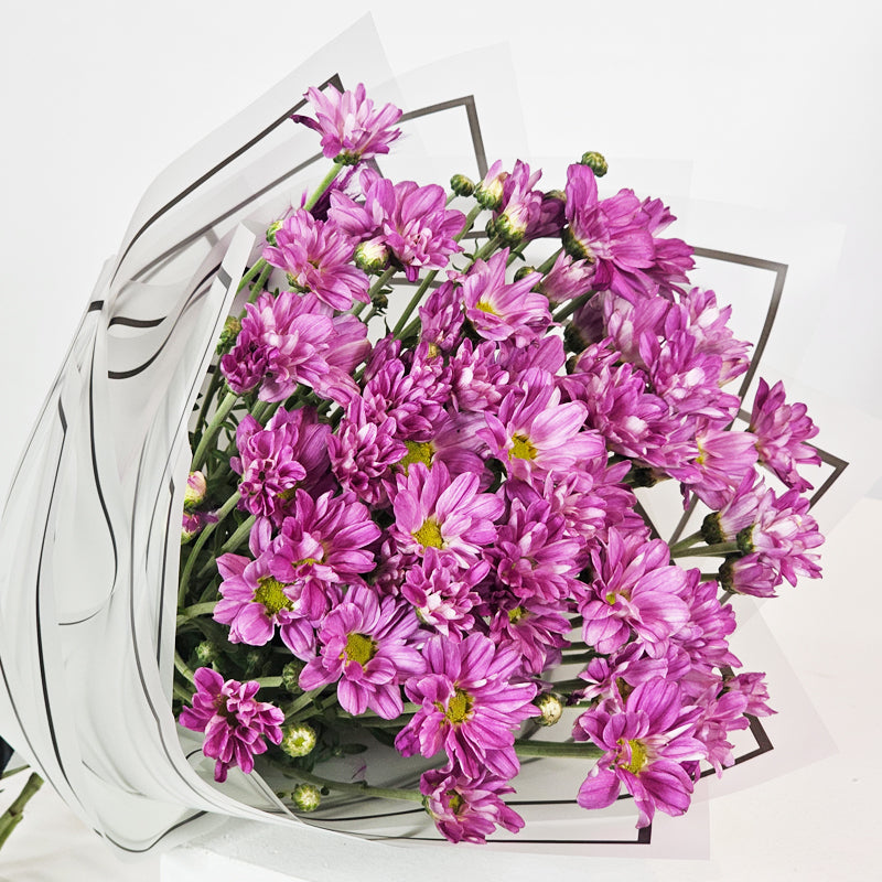 أرجواني مشع