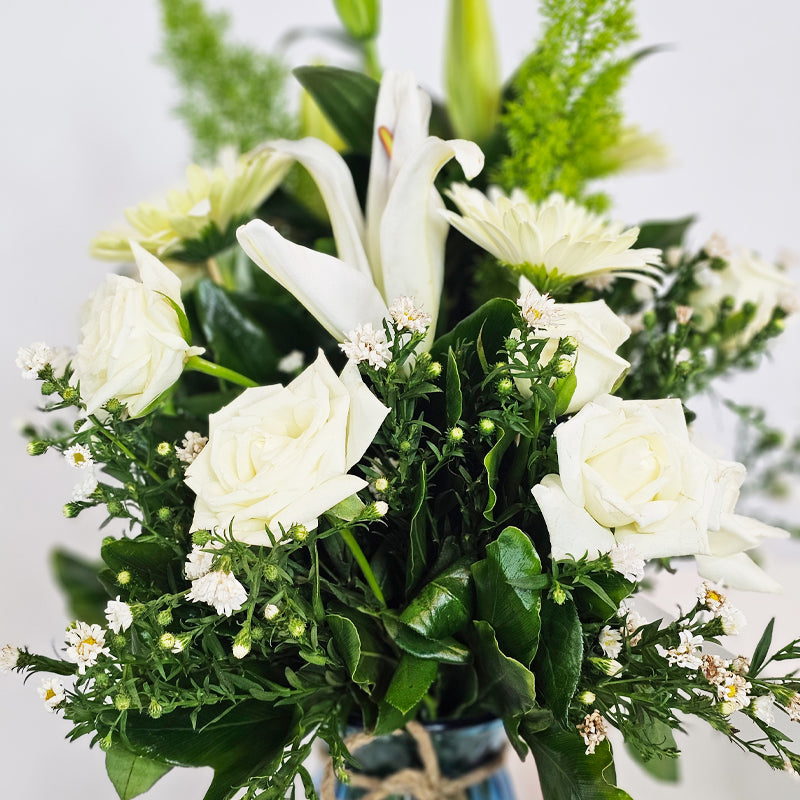 الصفاء النقي