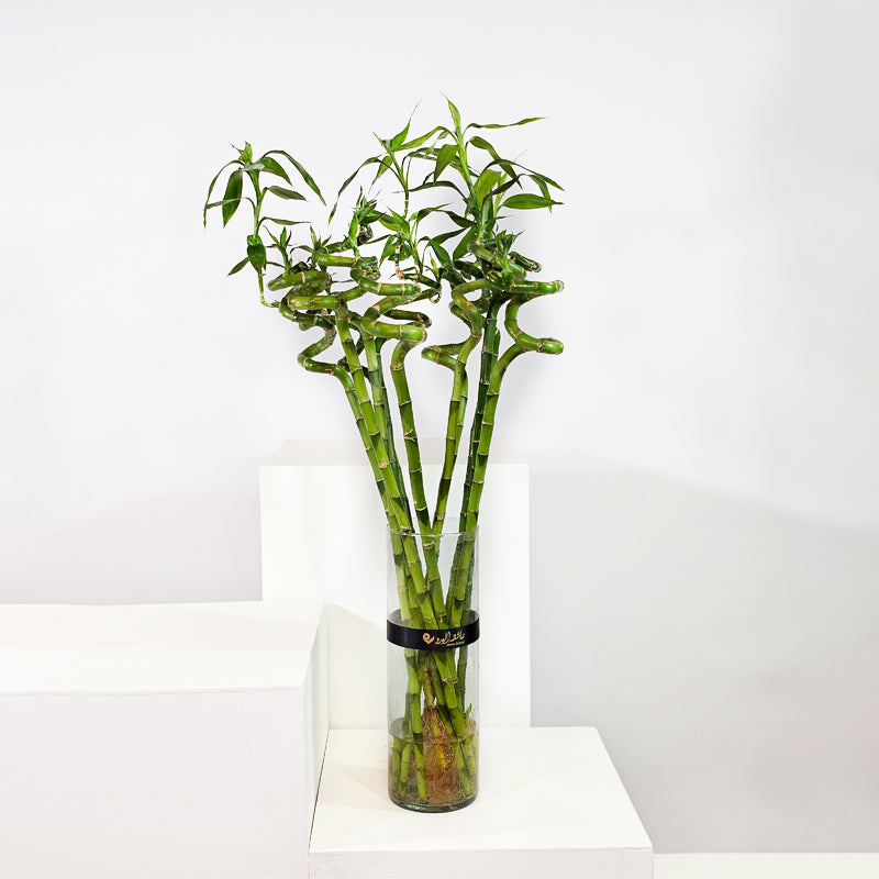 نعيم الخيزران