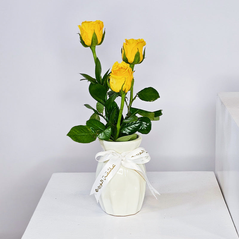 أناقة الثلاثي الذهبي