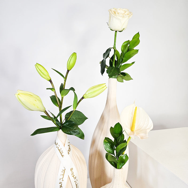 ثلاثي الصفاء العاجي