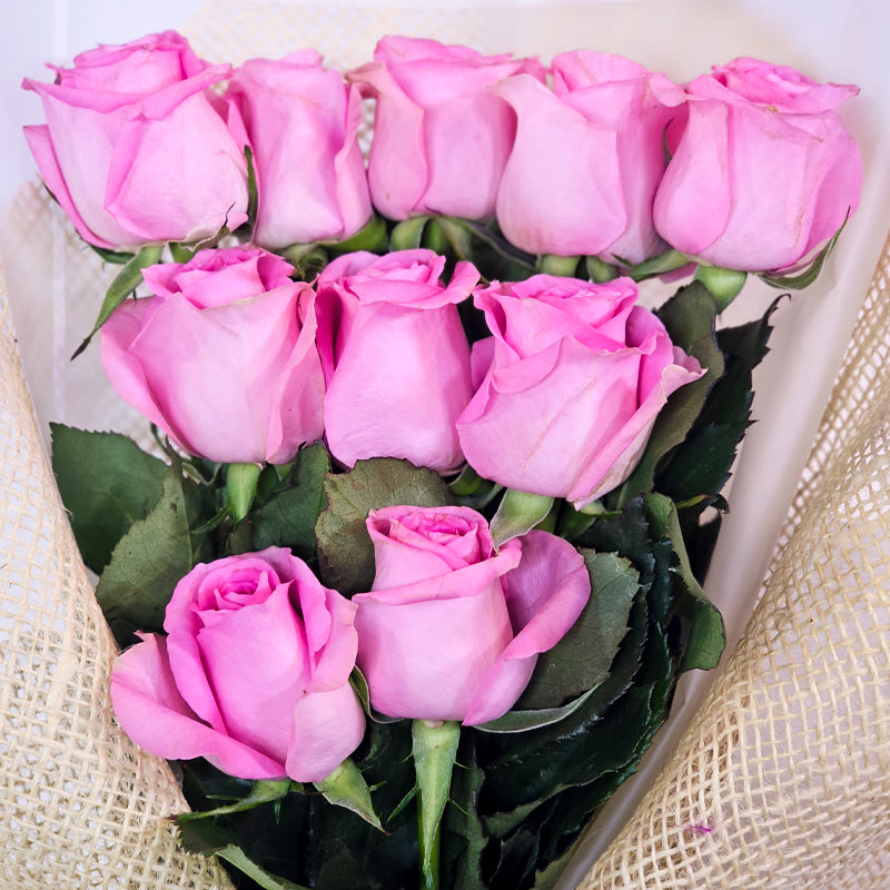 أناقة وردية