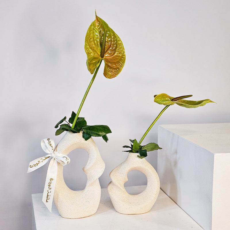 مزهريات أنيقة ترابية