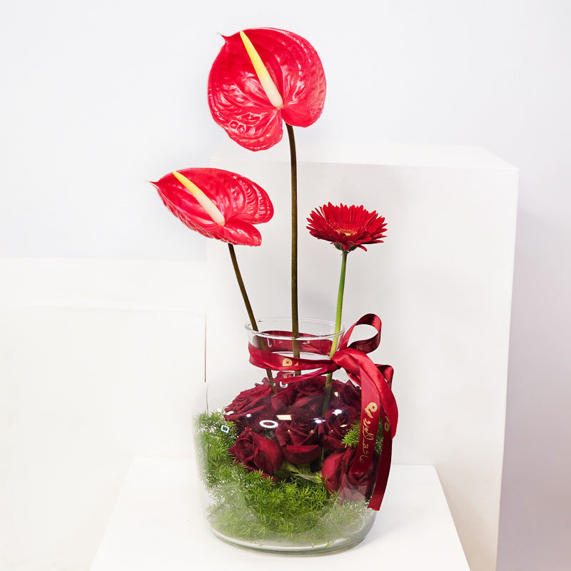 الانسجام العاطفي