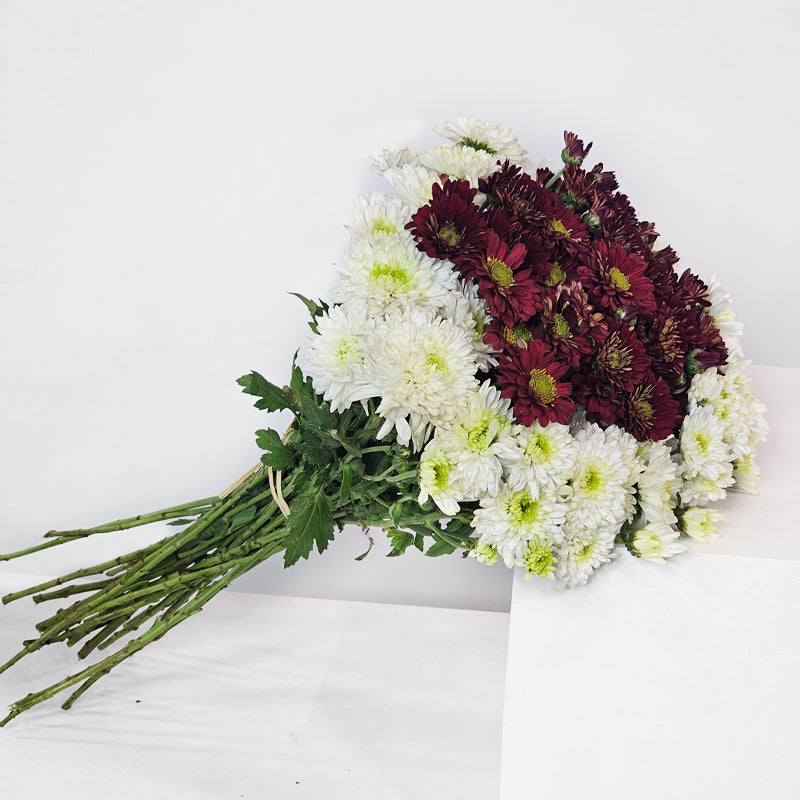 الاندماج المشع