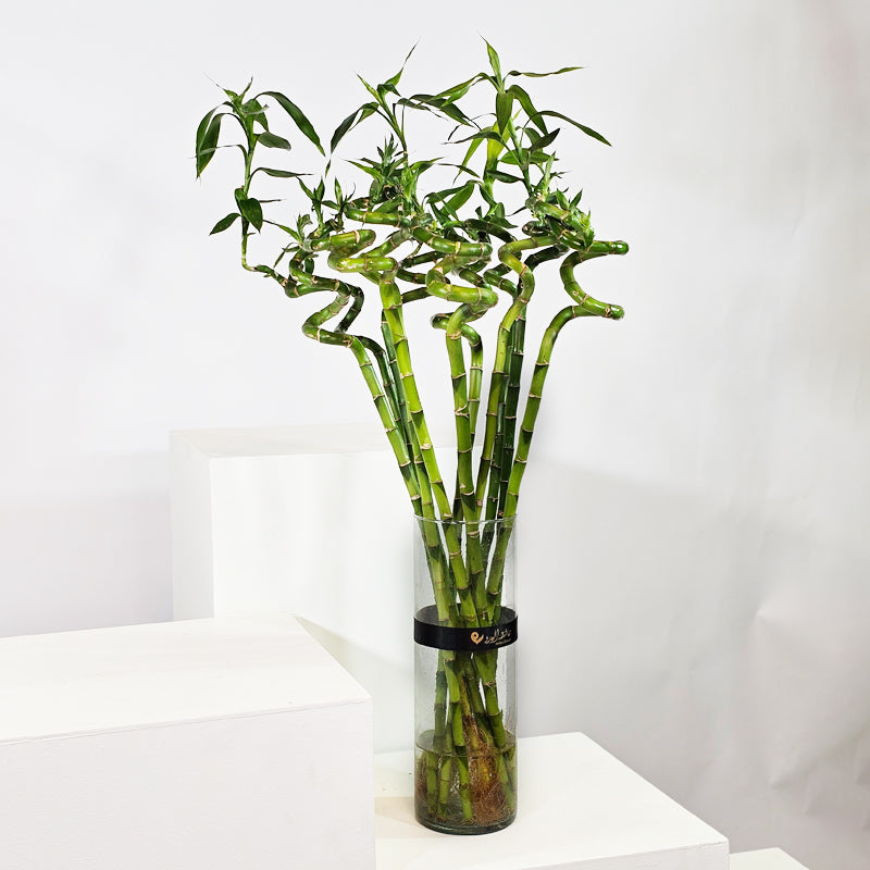 نعيم الخيزران