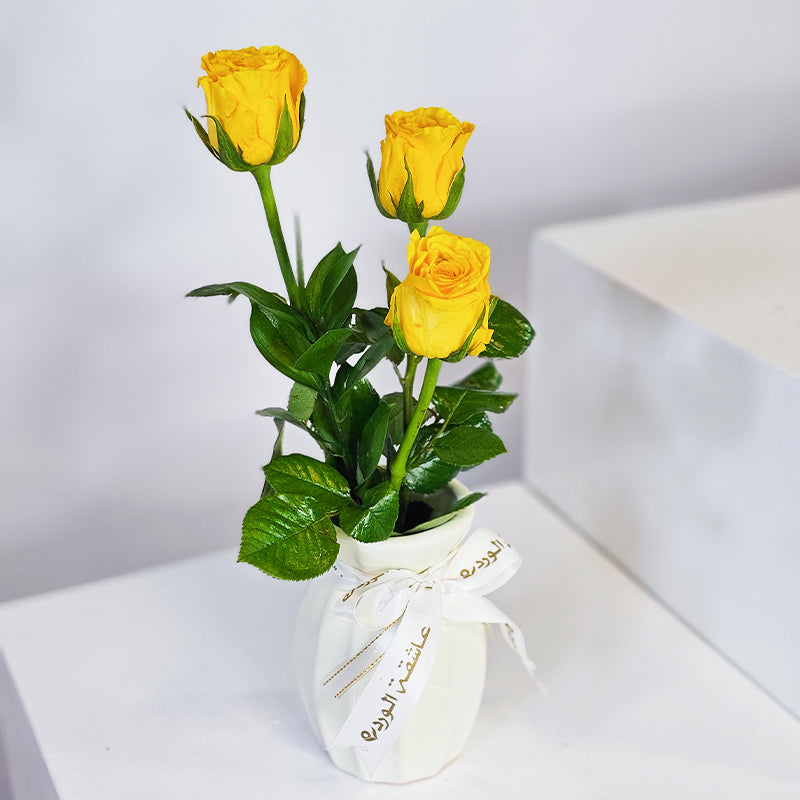 أناقة الثلاثي الذهبي