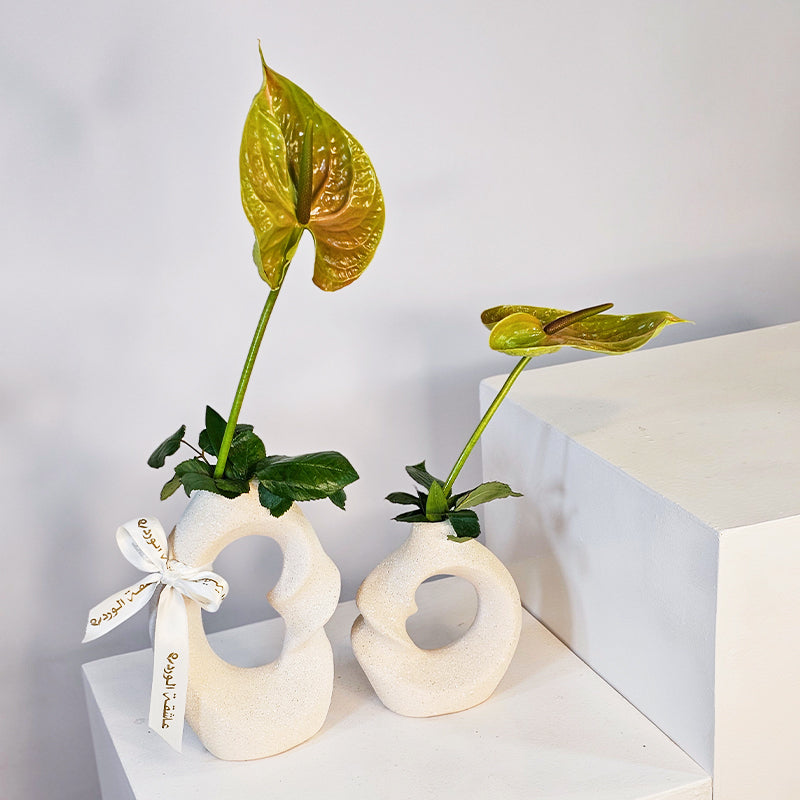 مزهريات أنيقة ترابية