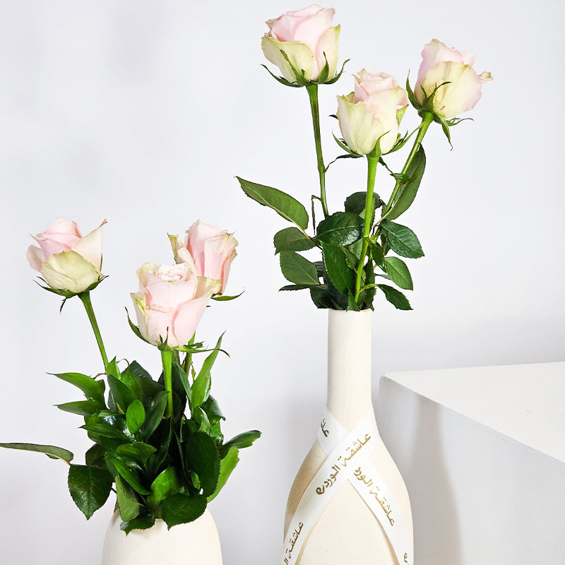 أحمر الخدود سيرينيتي تريو