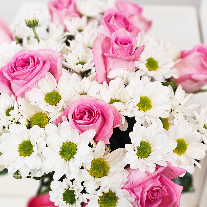 أحمر خدود نقي