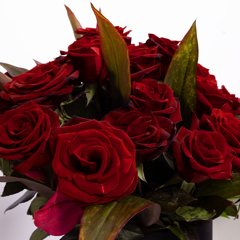 صندوق الجلالة القرمزي