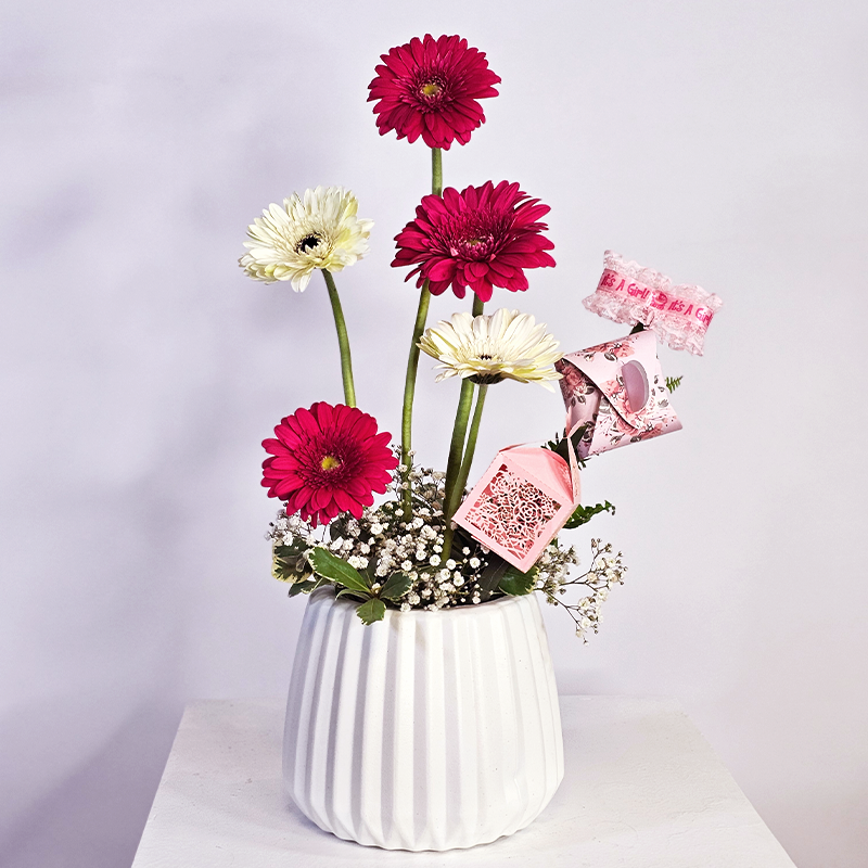 الفرح النقي