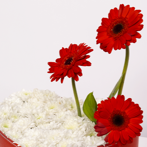 صندوق قلب عيد الحب