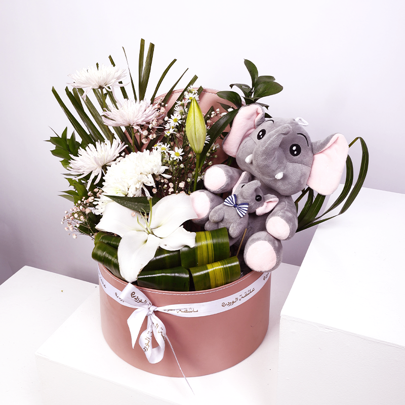 موكب الفيلة