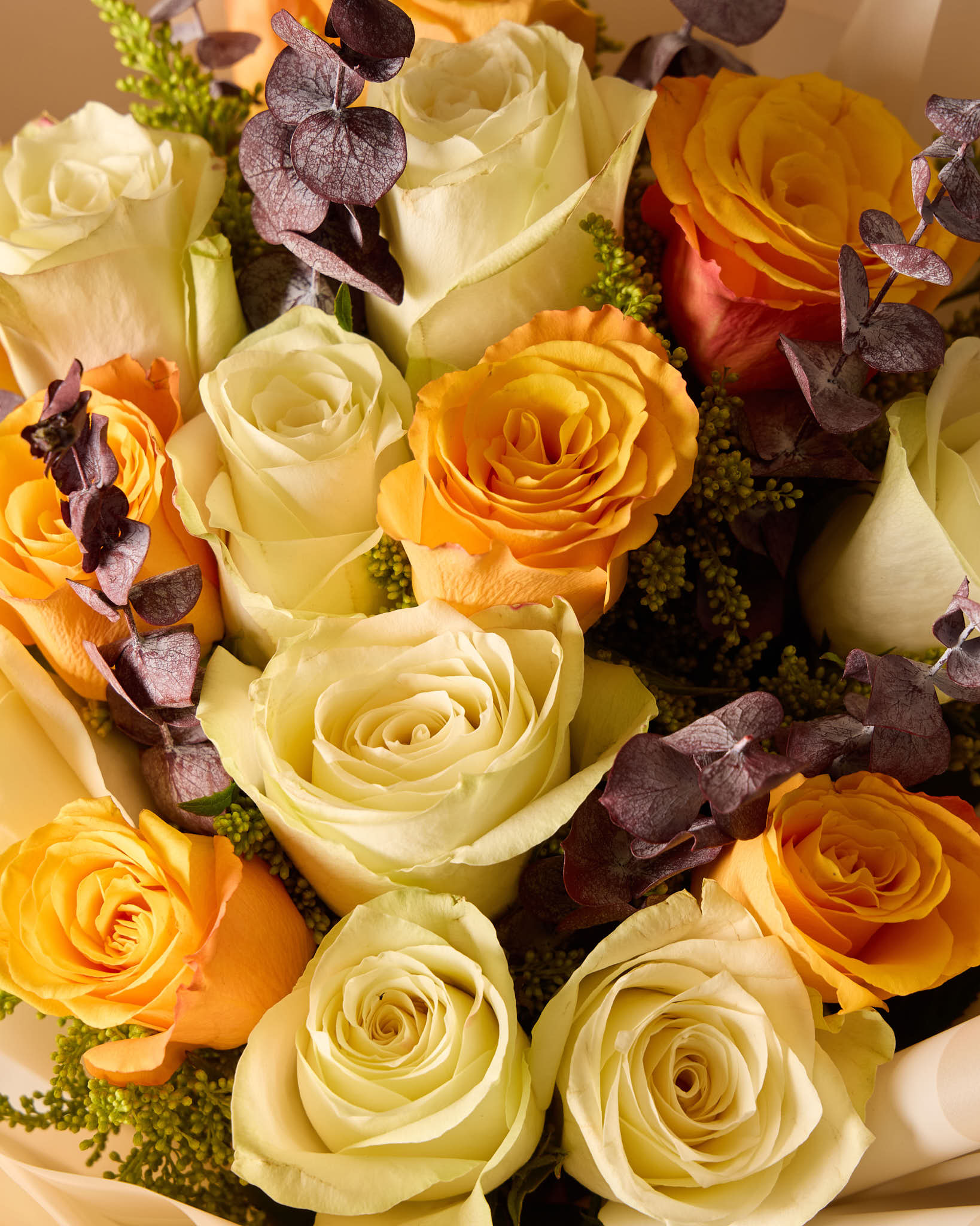 سيجنتشر فور