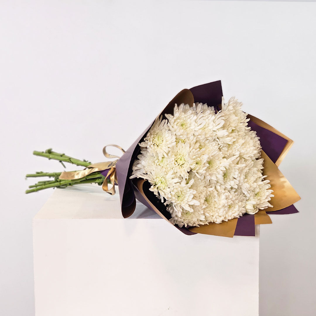 البساطة بلوم