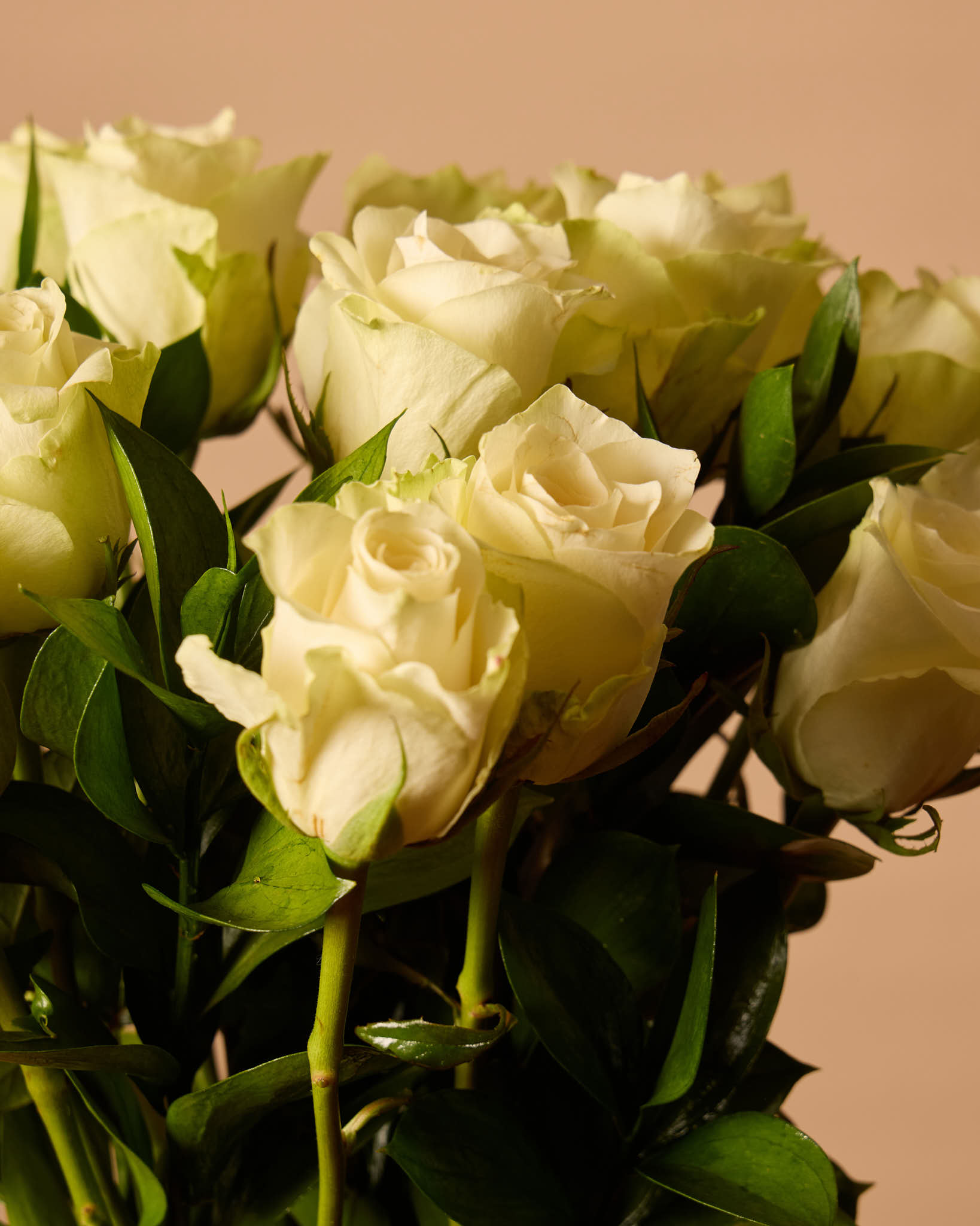 White Roses In Black Vase