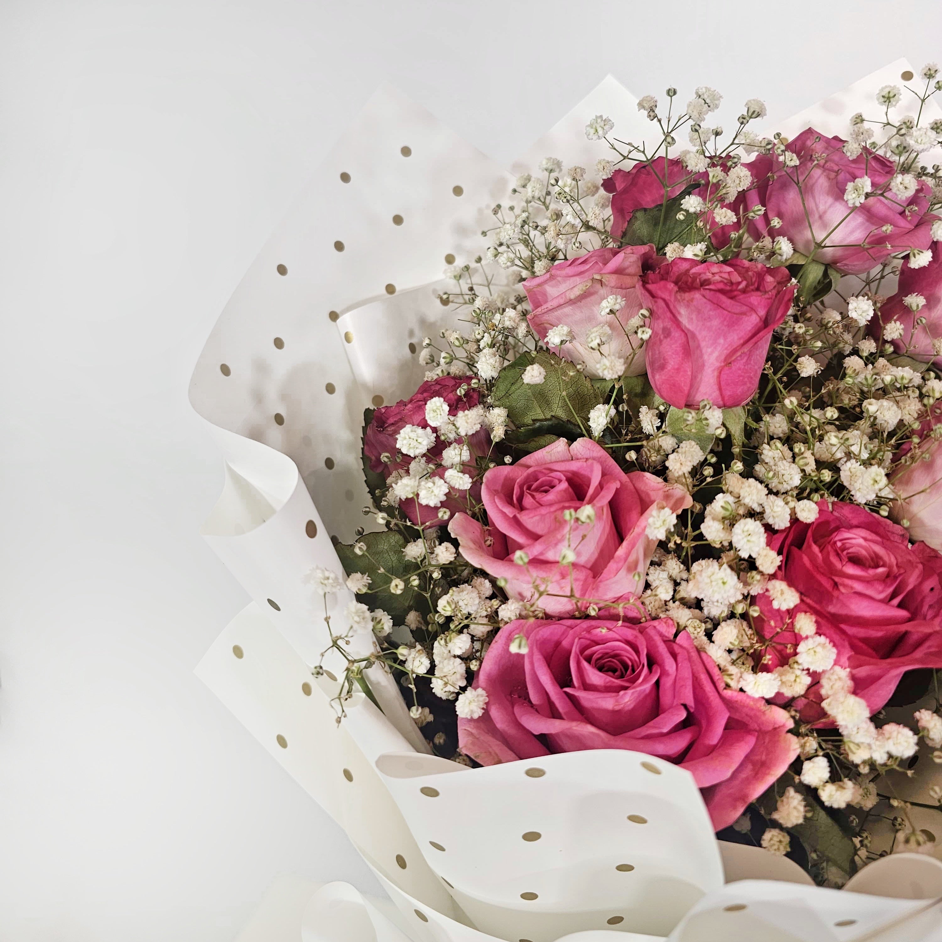 إشعاع الورد