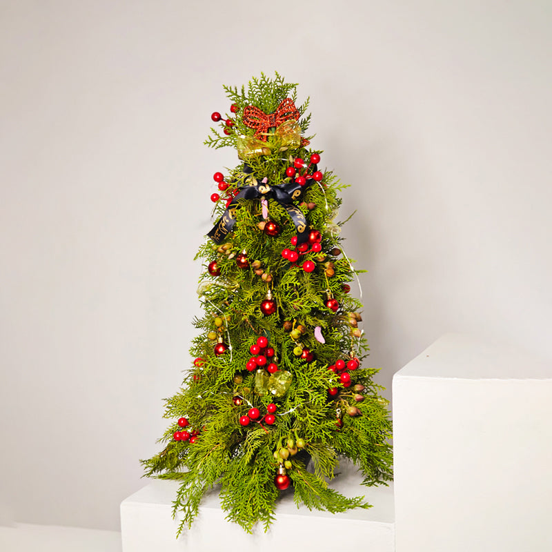 عيد الميلاد