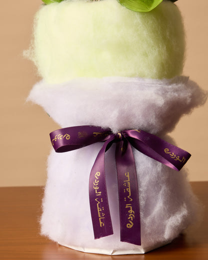 Pastel Garden Whisper