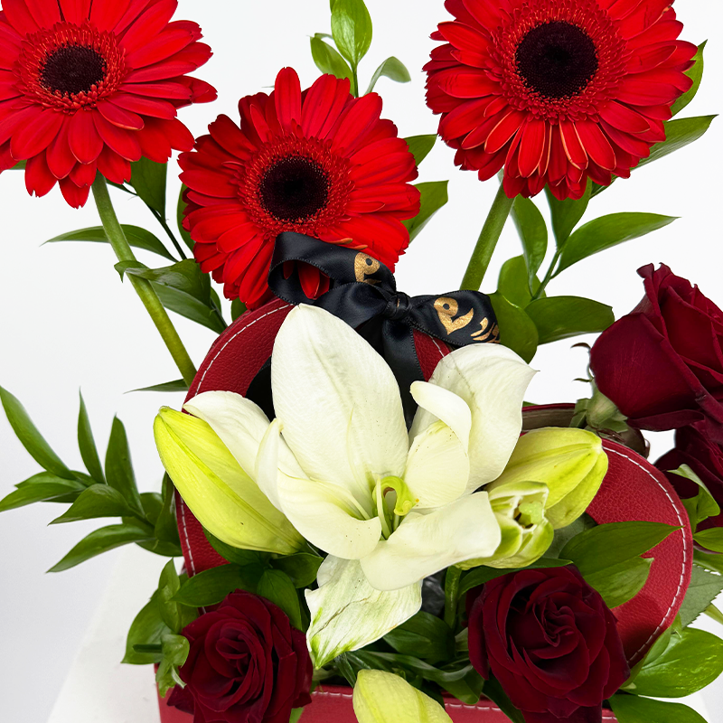 إزهار صادق 