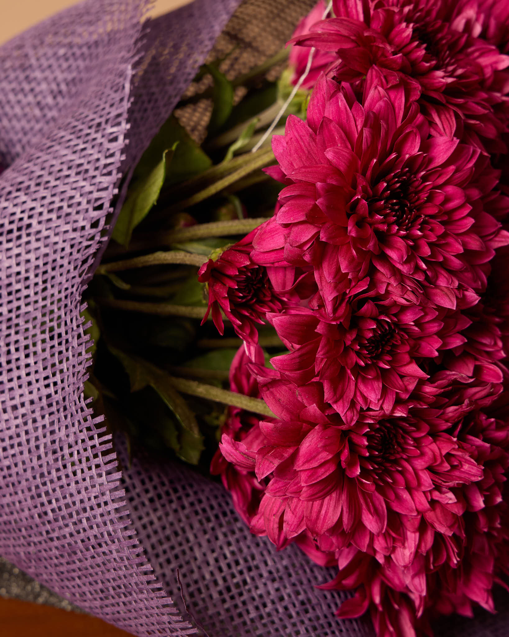 باقة زهور الأقحوان الأرجوانية