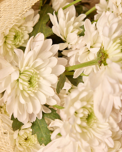 White chrysanthemum bouquet
