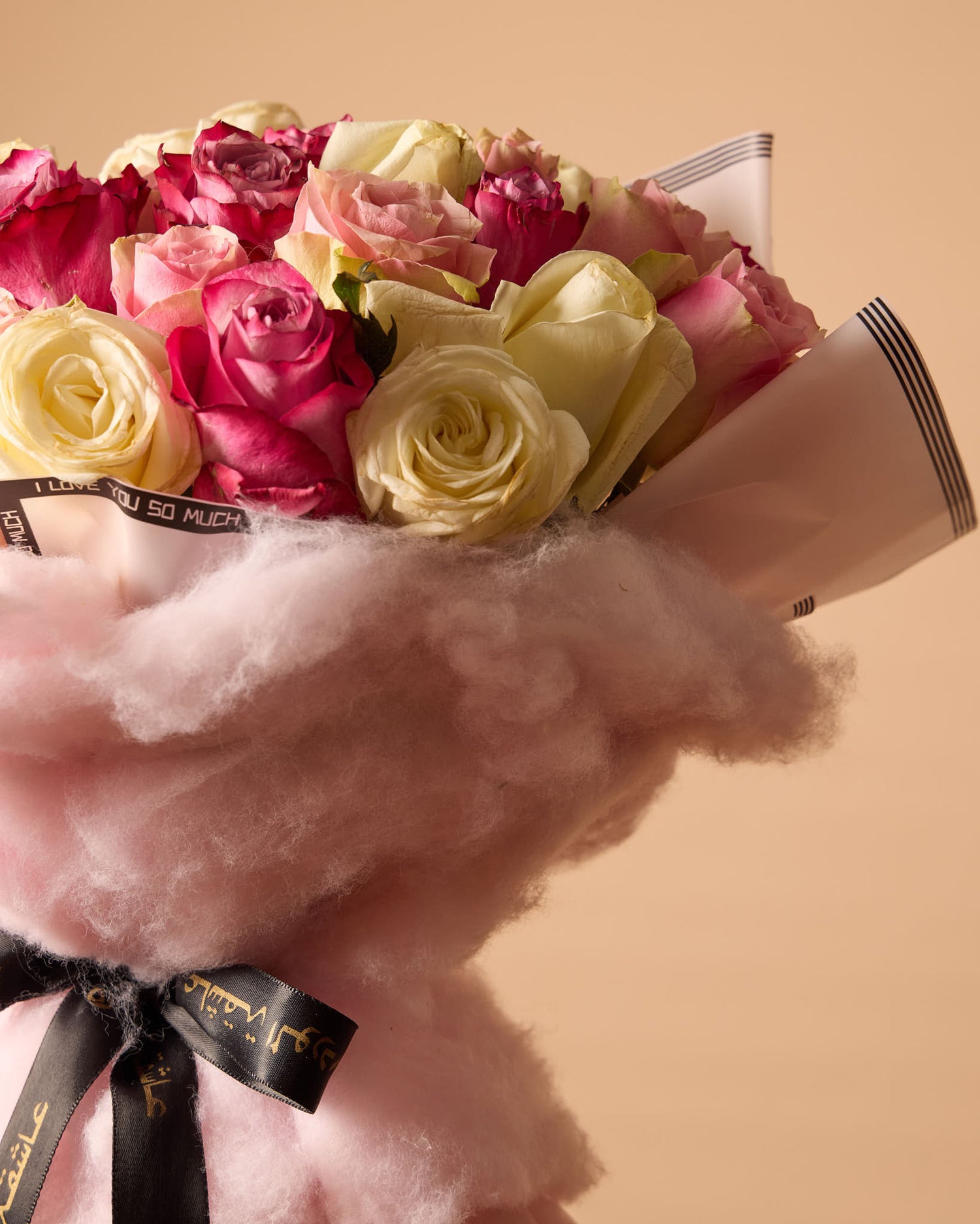 سيجنتشر وان