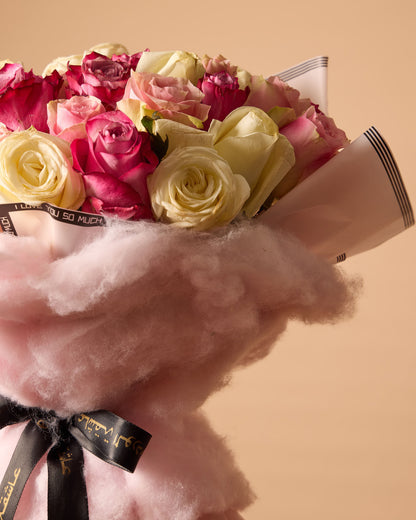 سيجنتشر وان