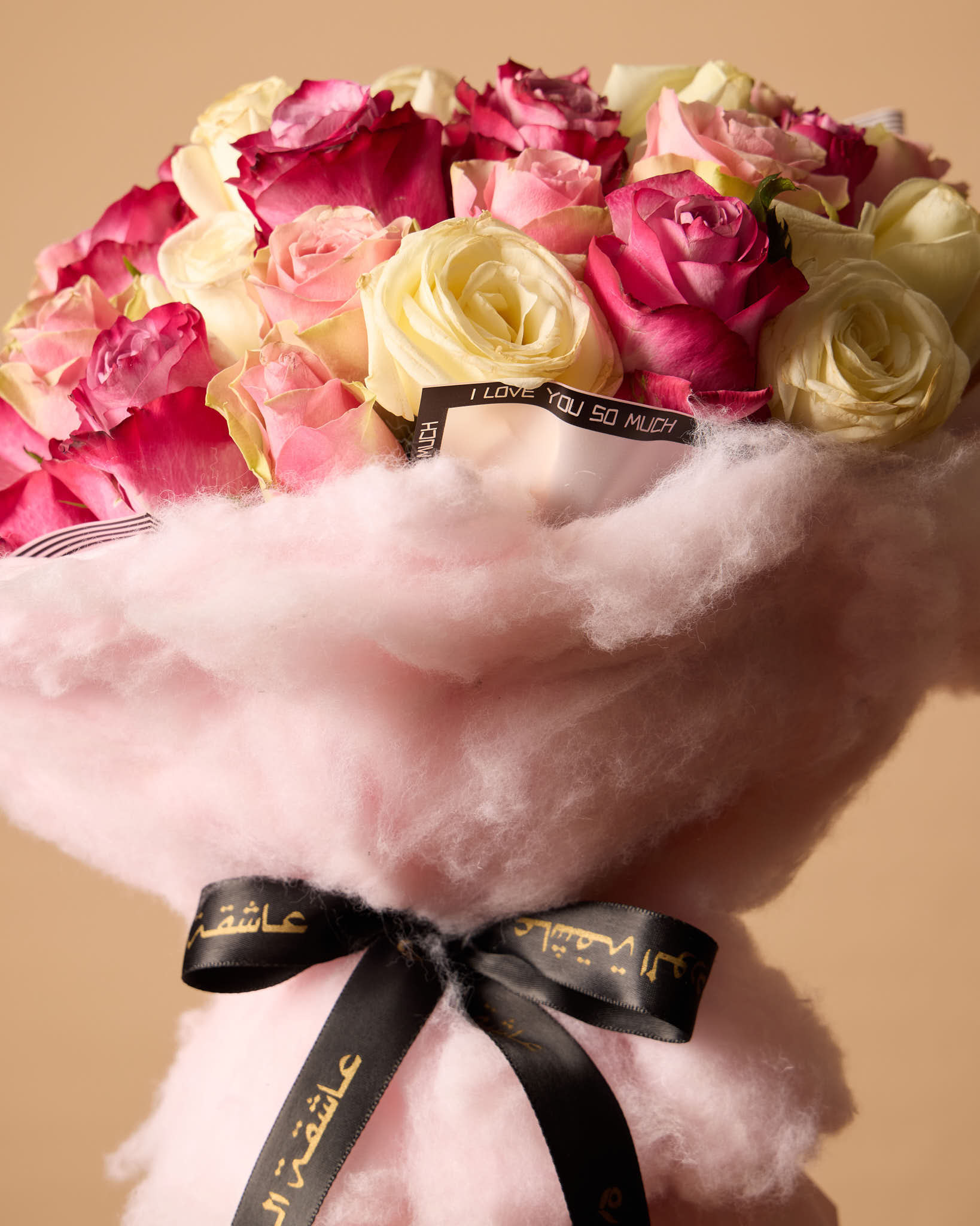 سيجنتشر وان