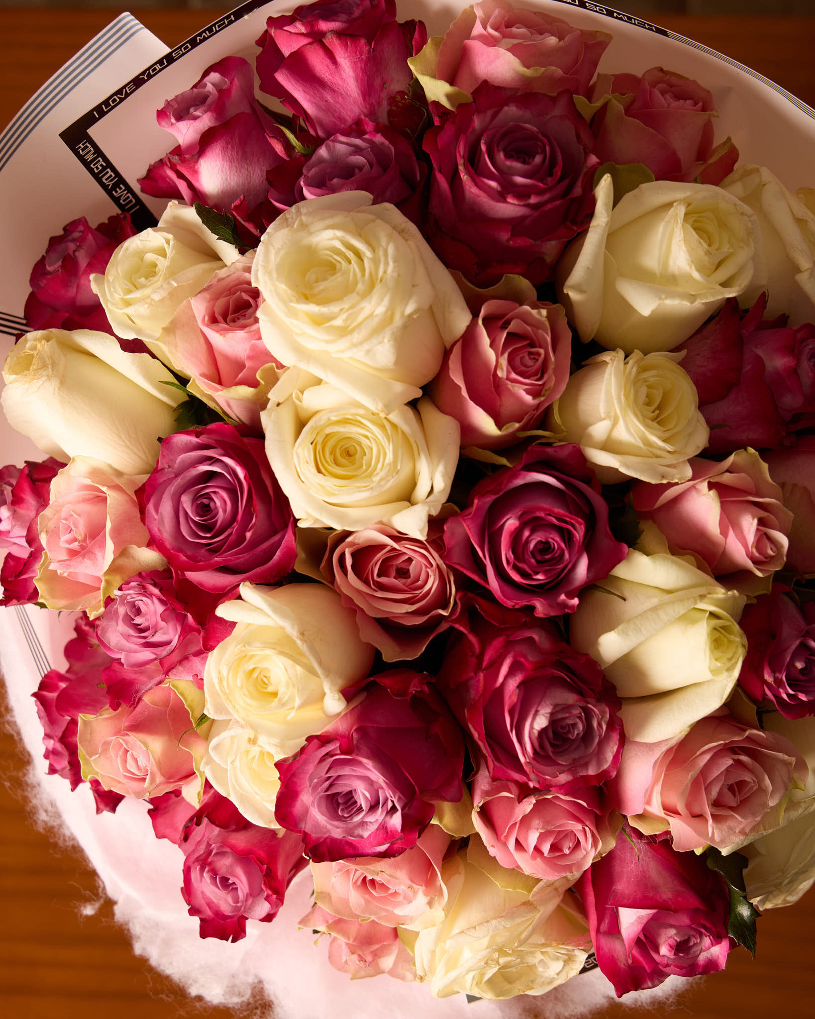 سيجنتشر وان