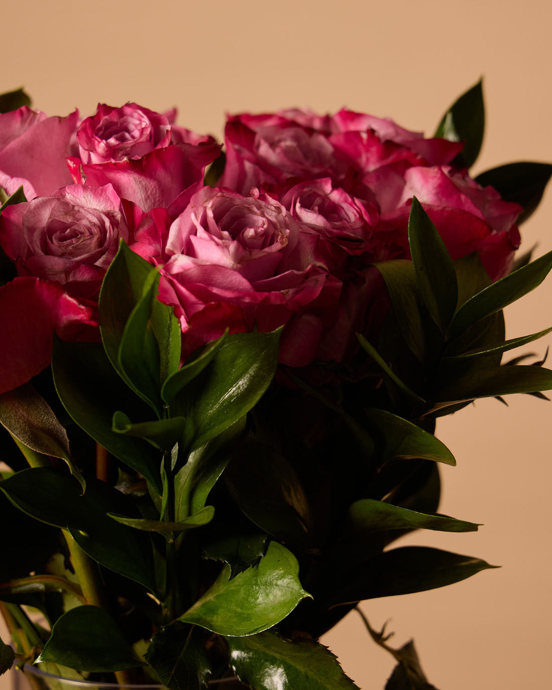 مزهرية ورود أرجوانية