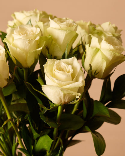White Roses Vase