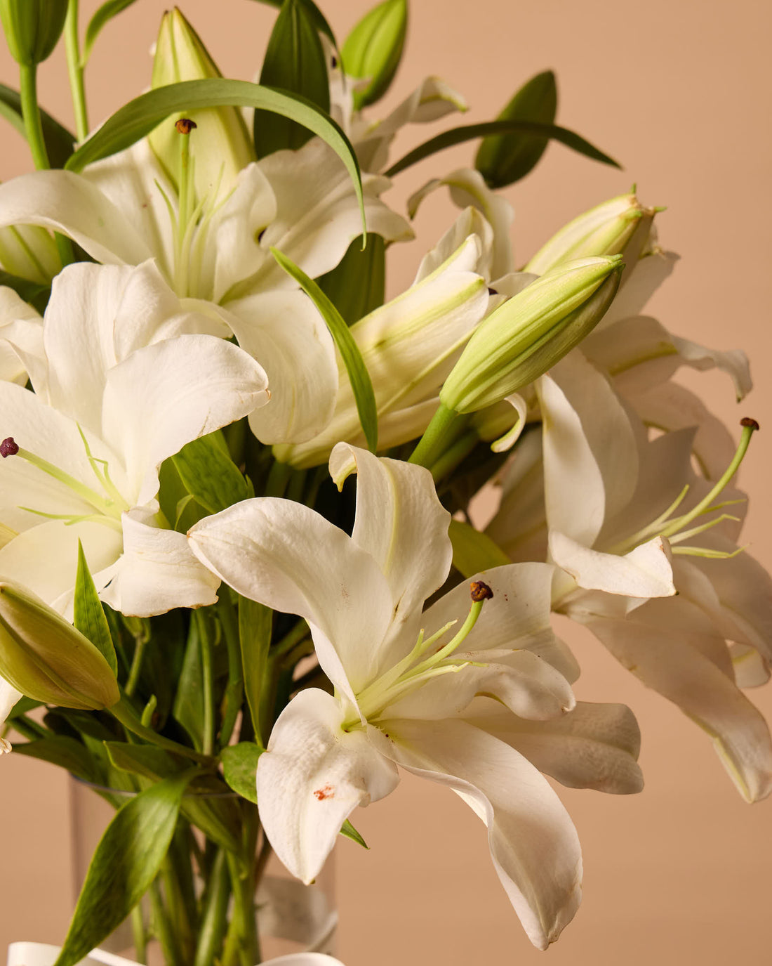 White Lilly Vase