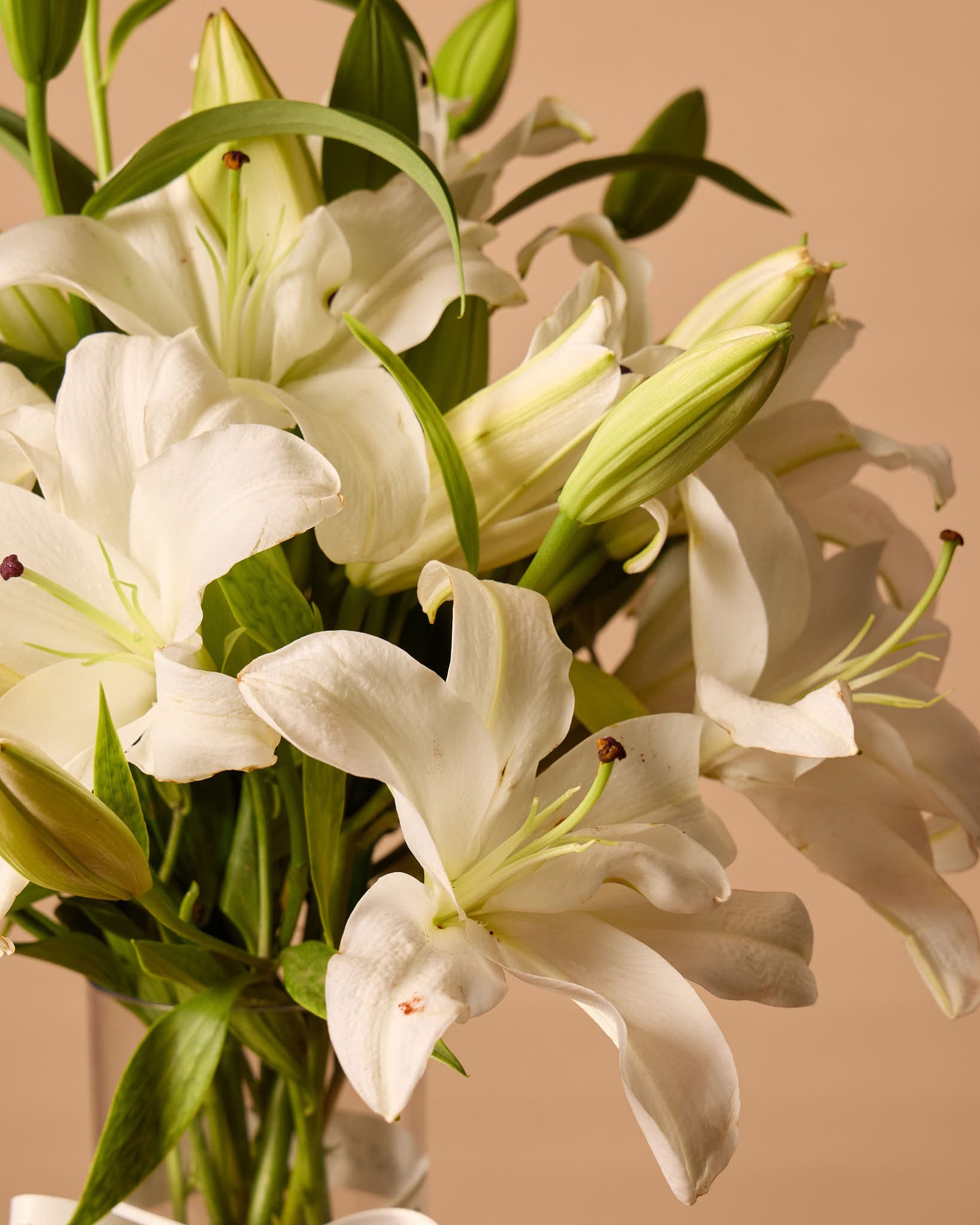 White Lilly Vase